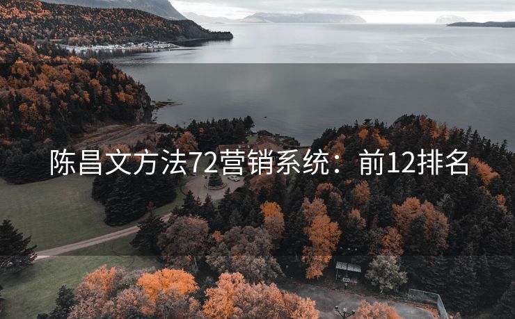陈昌文方法72营销系统：前12排名