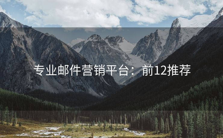 专业邮件营销平台：前12推荐