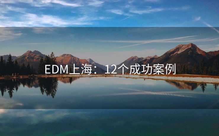 EDM上海：12个成功案例