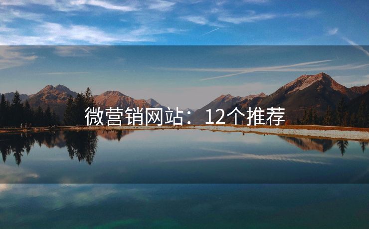 微营销网站：12个推荐