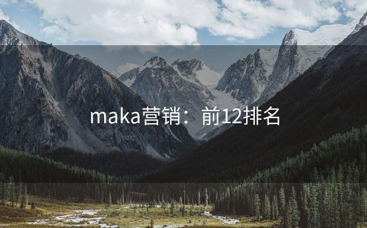 maka营销：前12排名