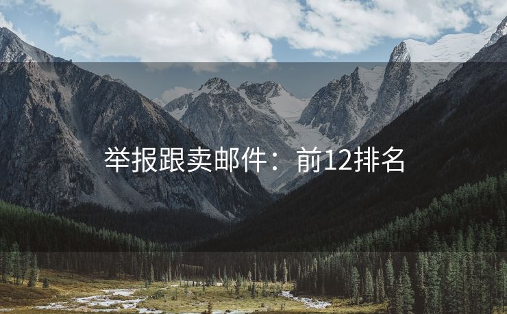 举报跟卖邮件：前12排名