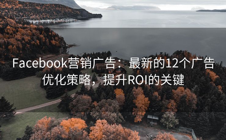 Facebook营销广告：最新的12个广告优化策略，提升ROI的关键