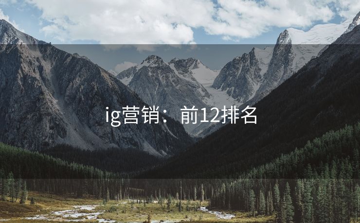ig营销：前12排名