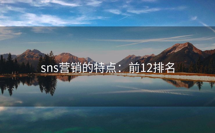 sns营销的特点：前12排名