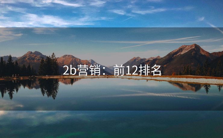 2b营销：前12排名