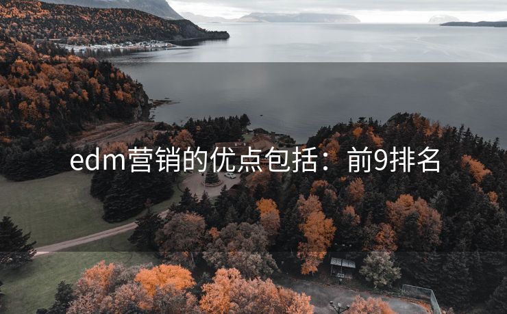edm营销的优点包括：前9排名
