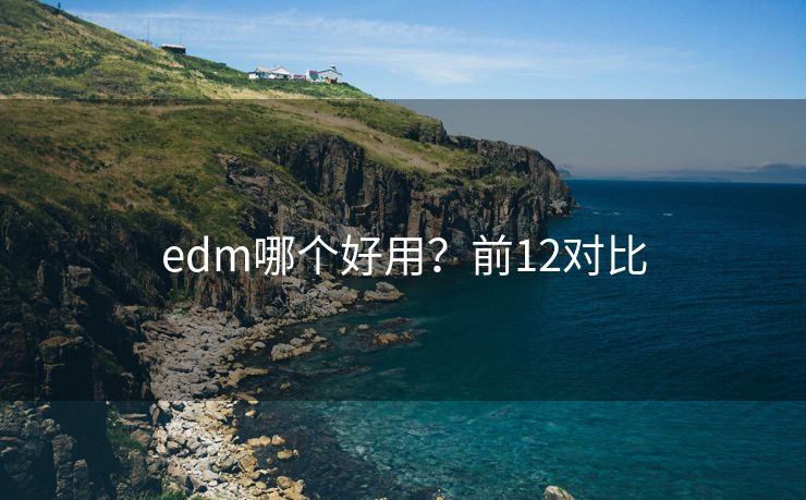 edm哪个好用？前12对比