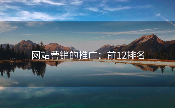 网站营销的推广：前12排名