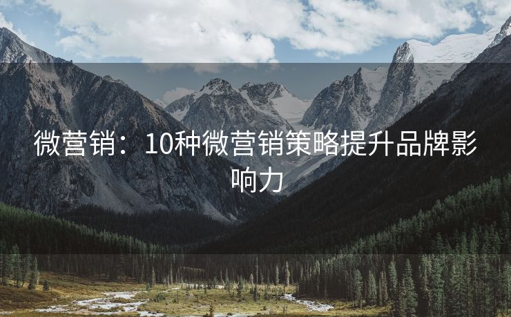微营销：10种微营销策略提升品牌影响力