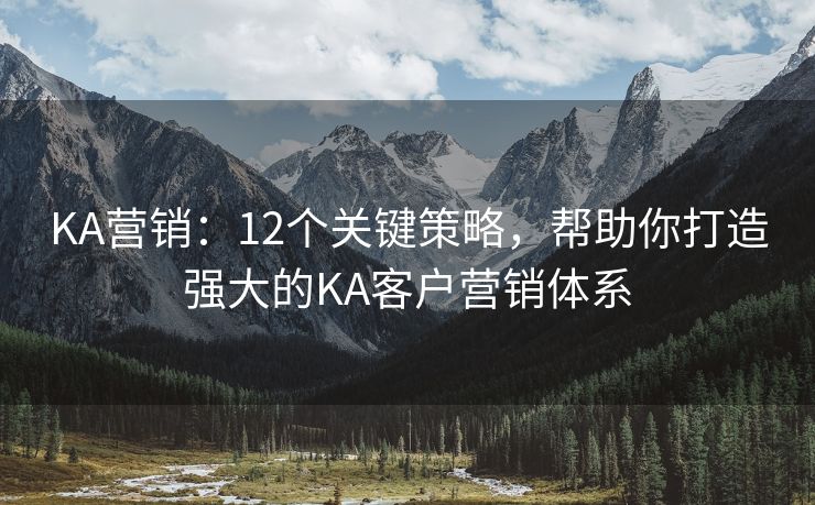 KA营销：12个关键策略，帮助你打造强大的KA客户营销体系