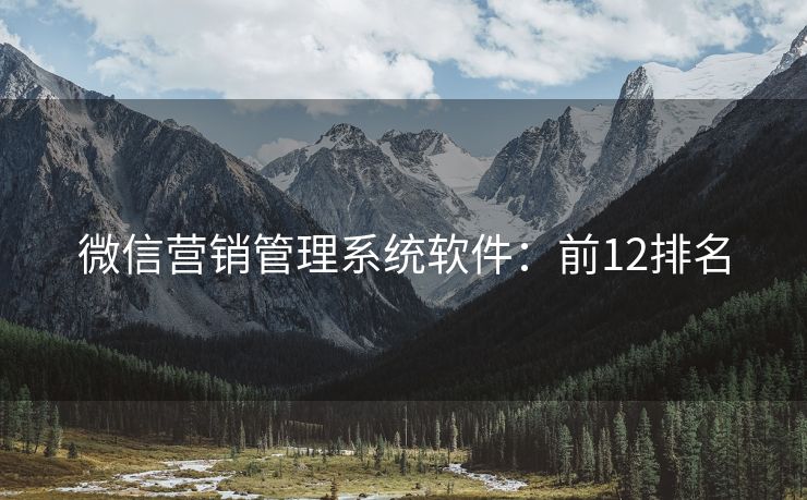 微信营销管理系统软件：前12排名