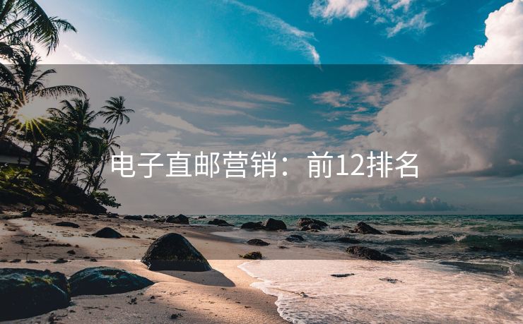 电子直邮营销：前12排名