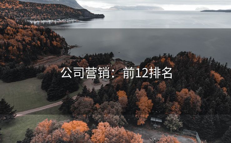 公司营销：前12排名