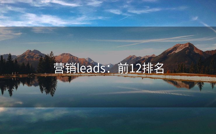 营销leads：前12排名