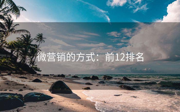微营销的方式：前12排名