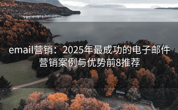 email营销：2025年最成功的电子邮件营销案例与优势前8推荐